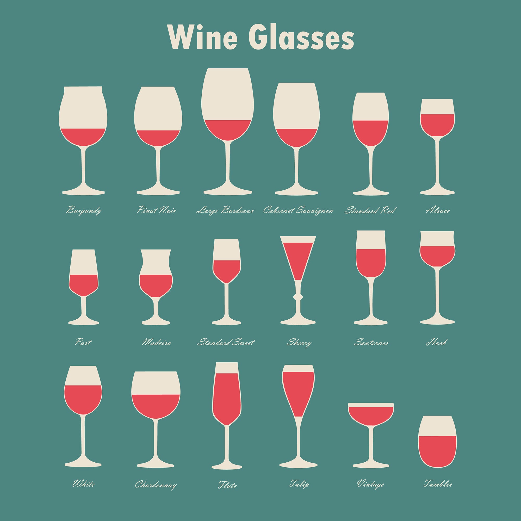 Types of Wine Glasses for Beginners